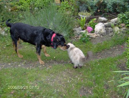 Les prot�g�s d'amy_mot